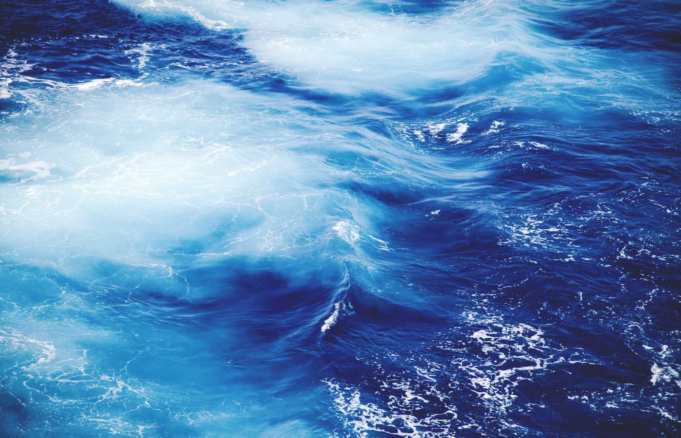 Portretul Elenei Ionescu