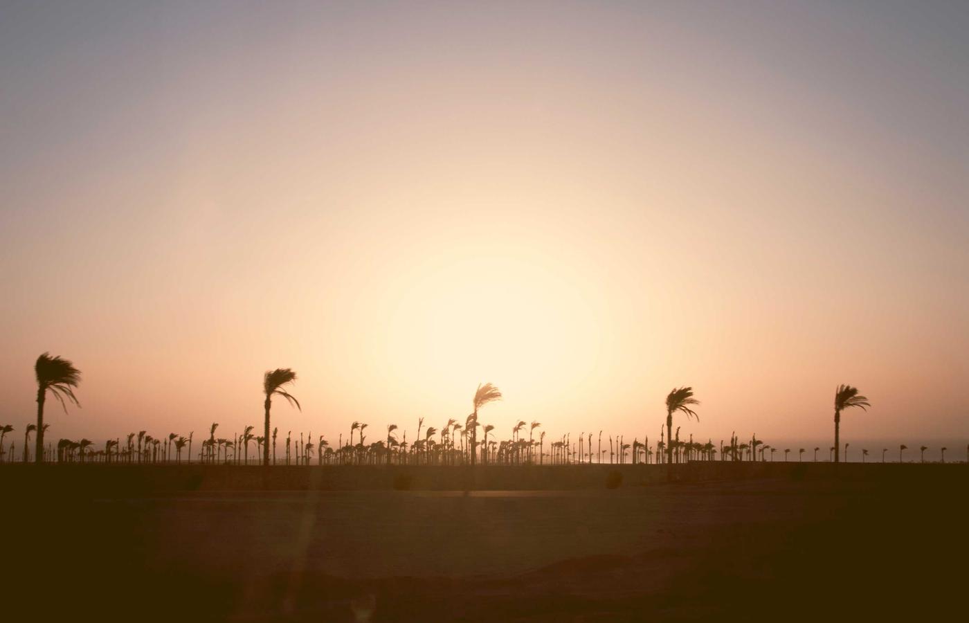 Panouri solare pe o hală industrială